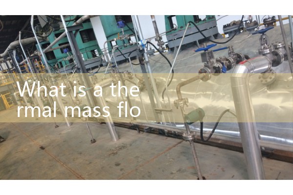 Thermal mass flowmeter
